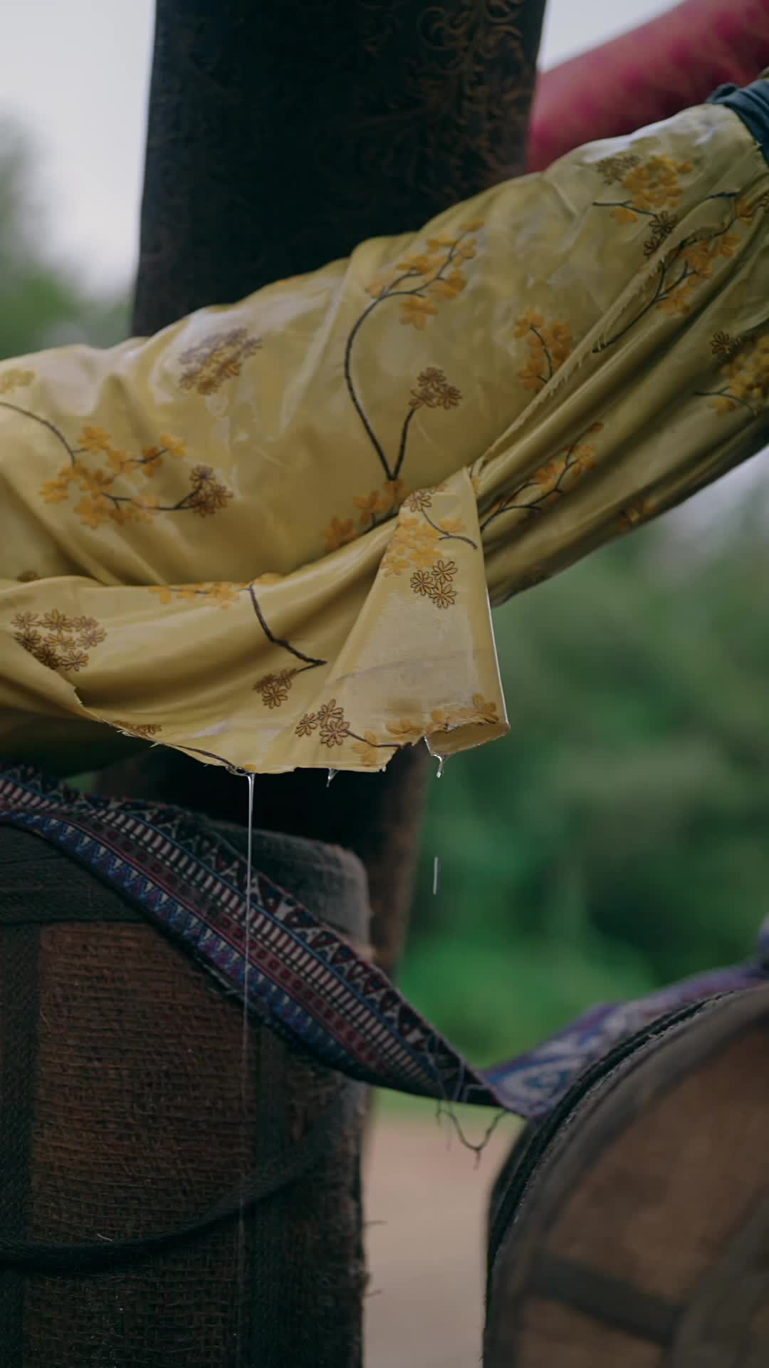 棄子青雲徵 第5集