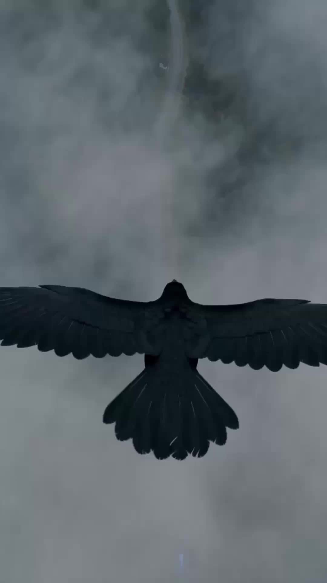 Academia dos Lobos: O Desejo Proibido (Dublado) 1Episódio