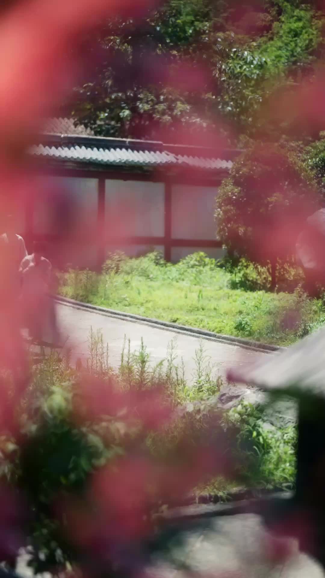 Ep 5