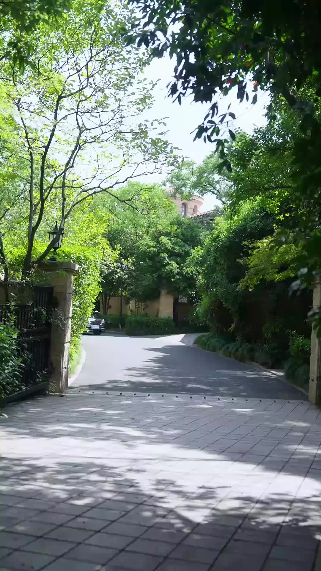 謝總,夫人才是幕後大佬 第6集