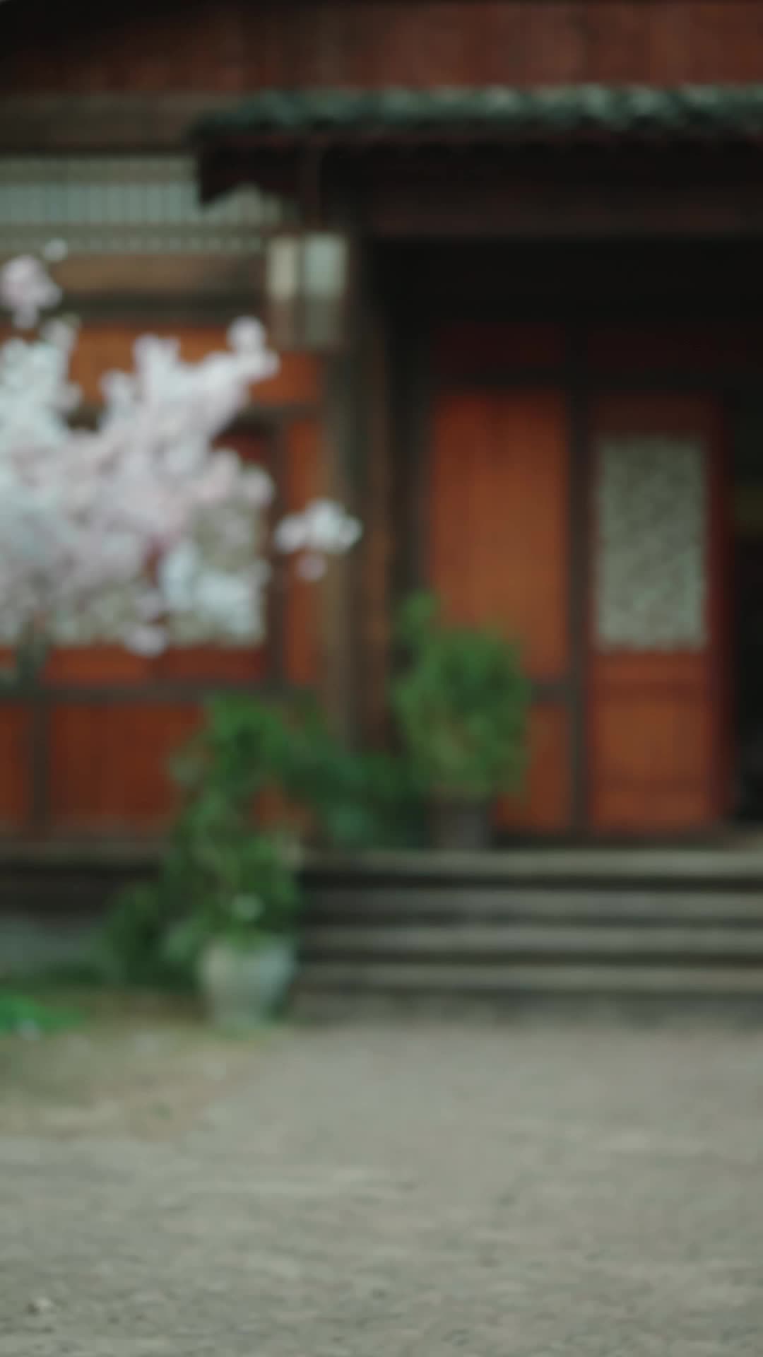 穿成反派後娘，我帶崽改命 第10集