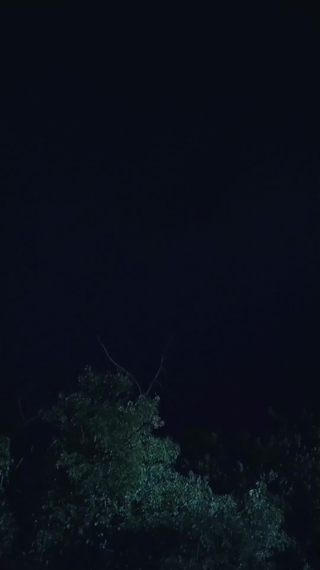 Ep 15