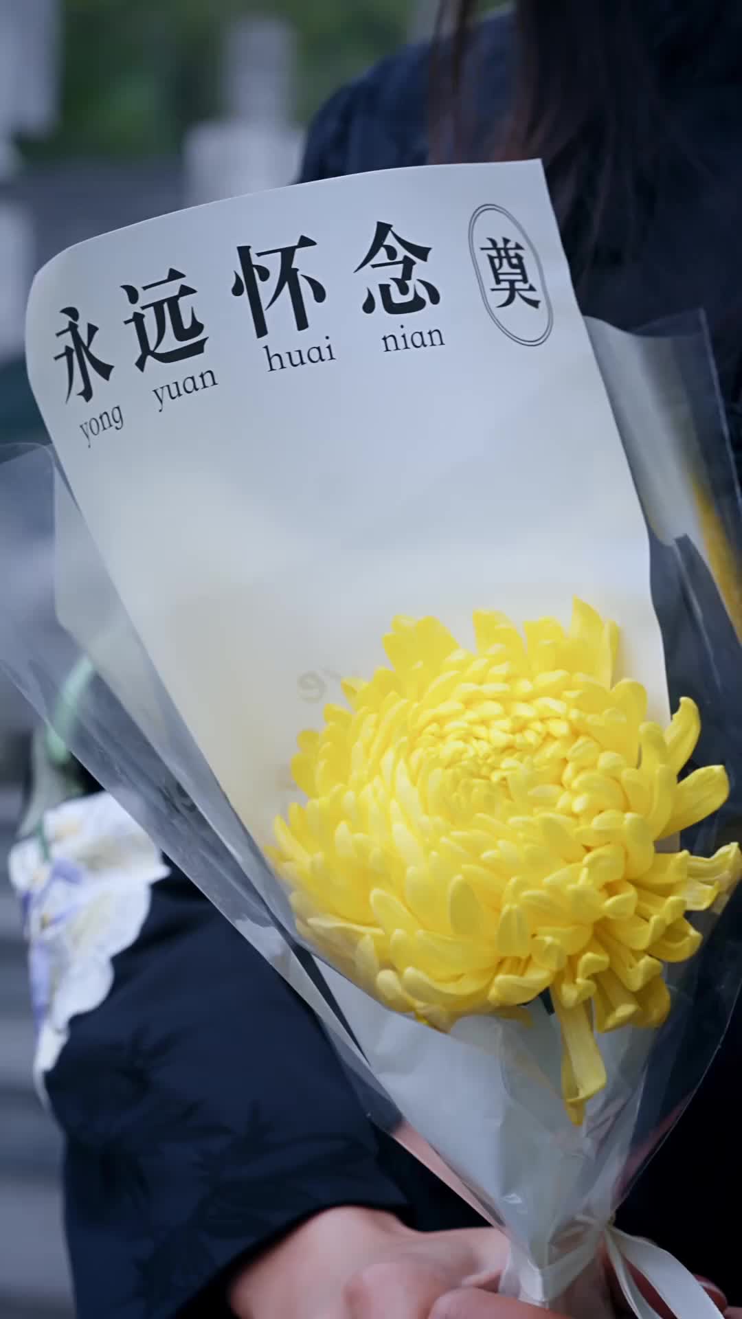掌中火，定九州 第1集