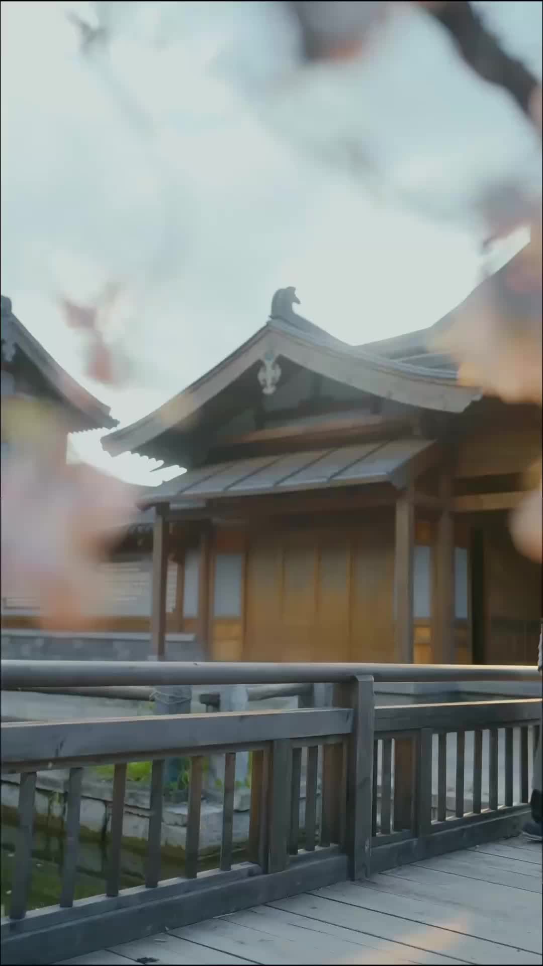 Ep 21