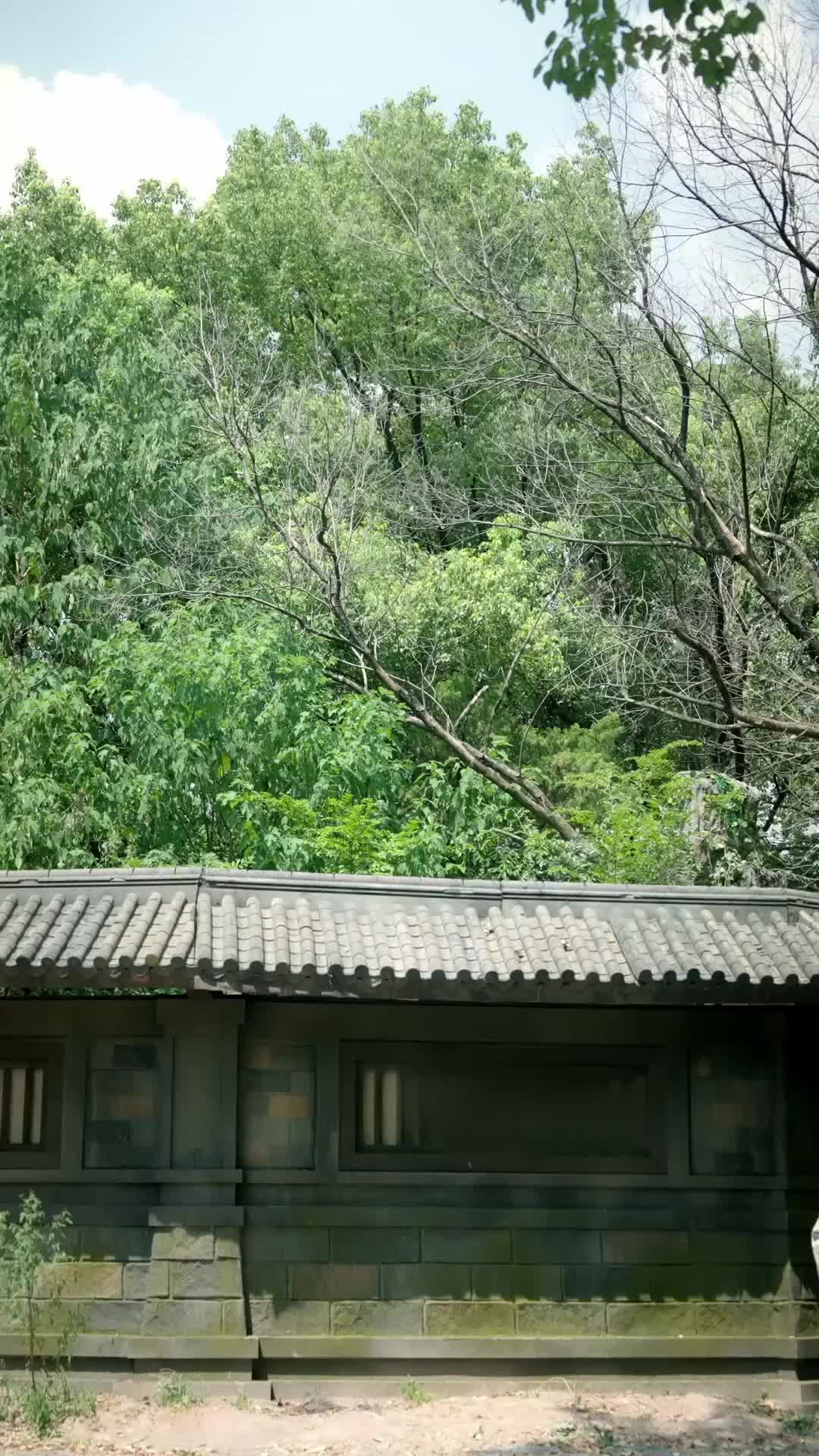 Ep 80