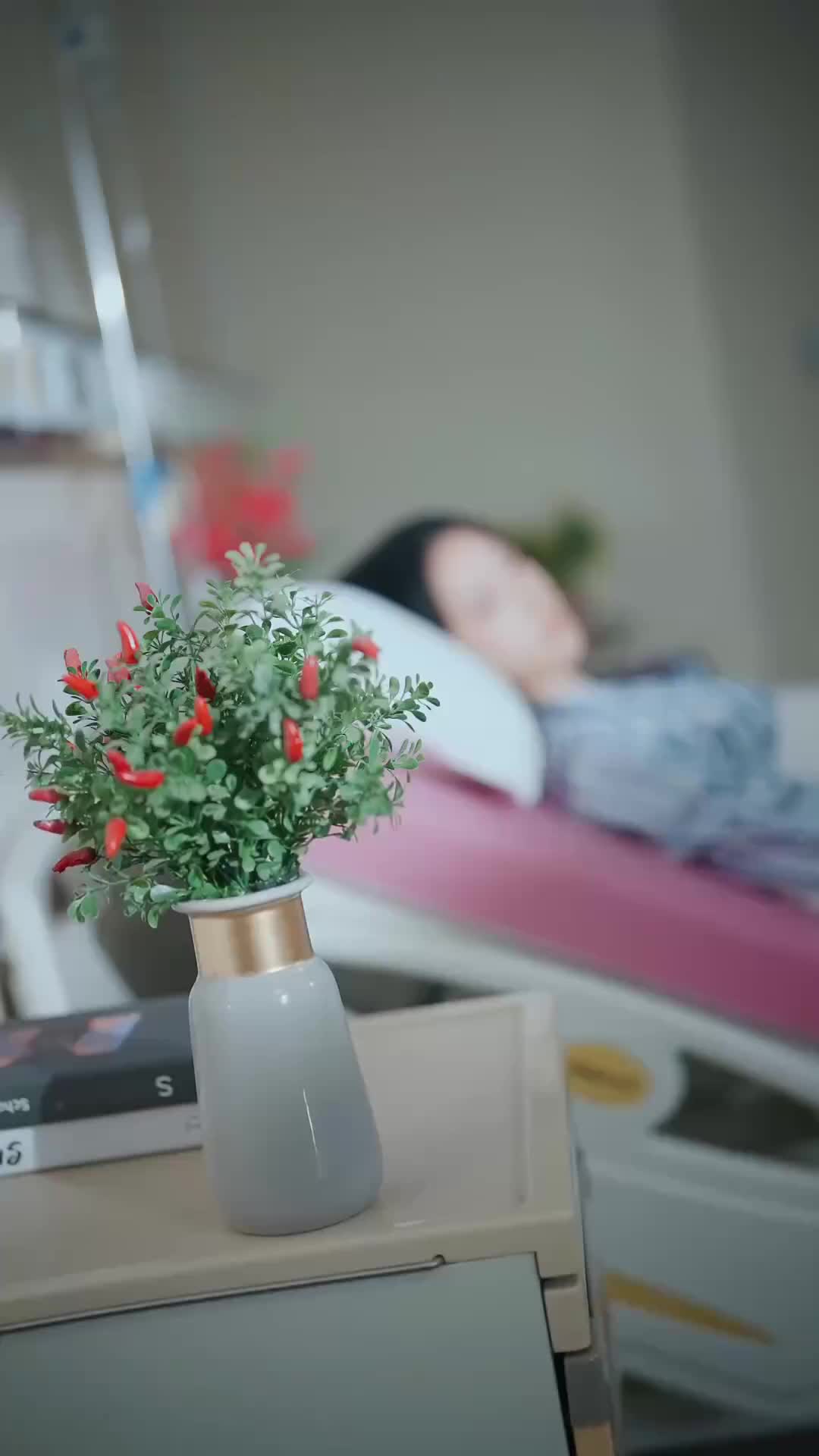燕西誤盡瑤臺月 第5集