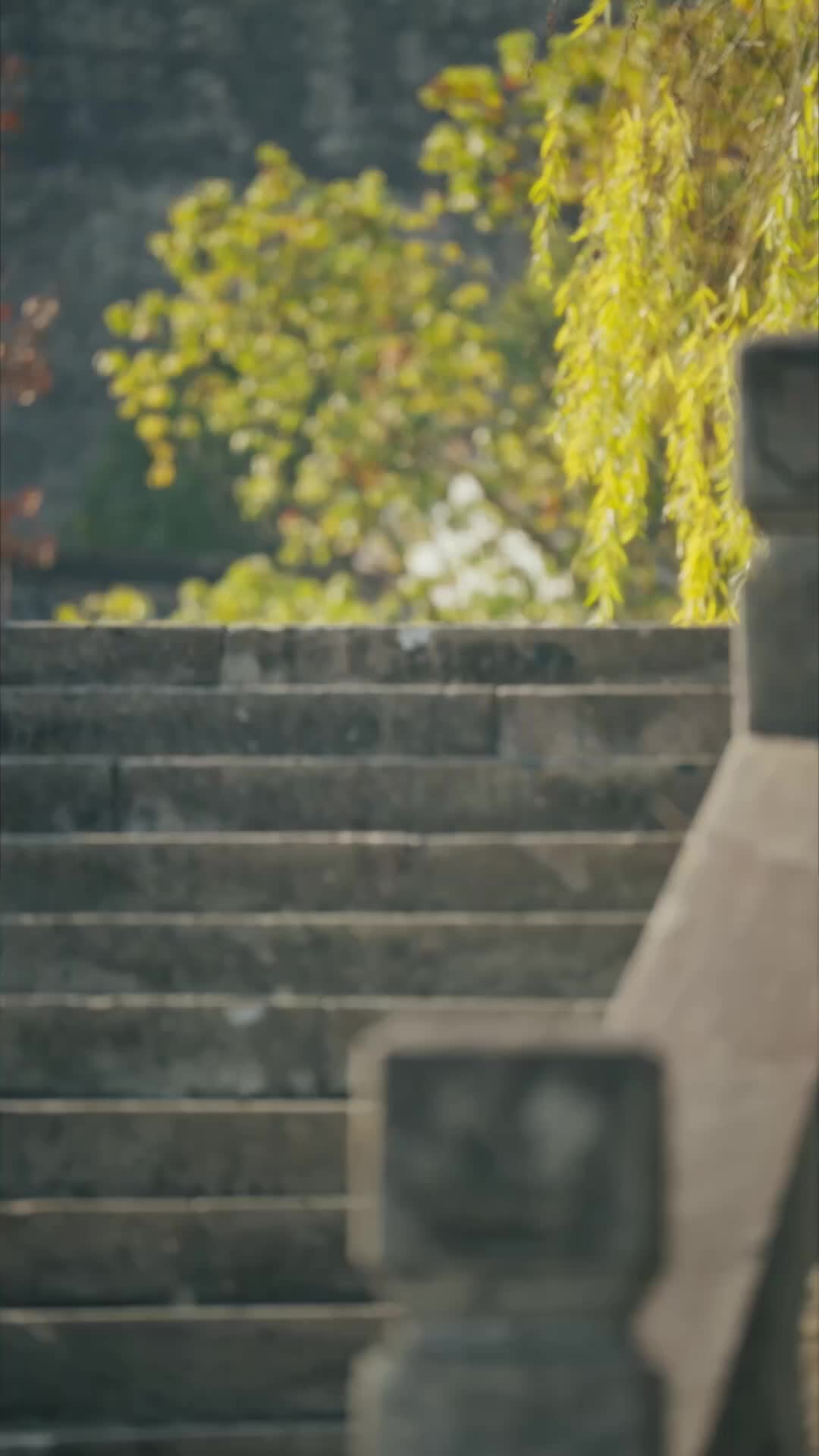 少帥的“文弱”嬌妻是匪首 第11集