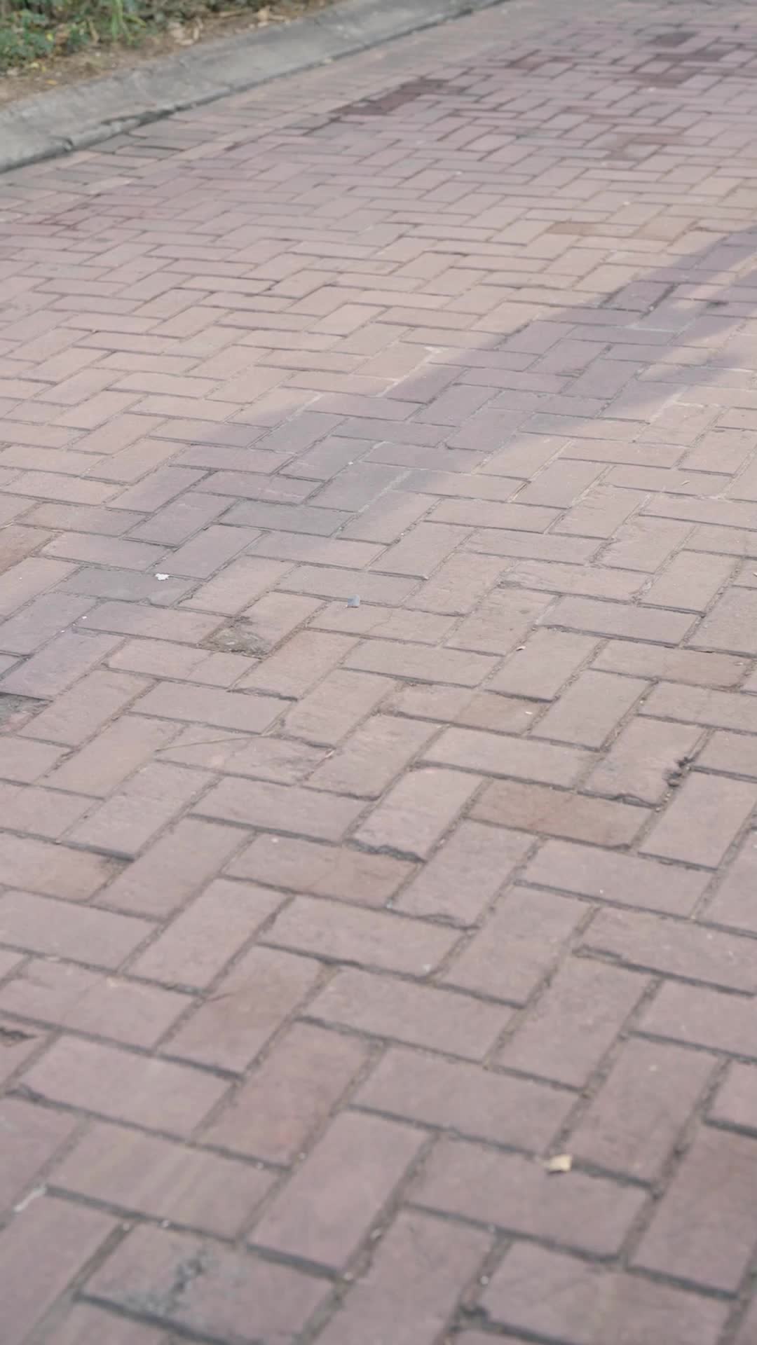 Señorita, te he esperado por tanto tiempo Episodio 11