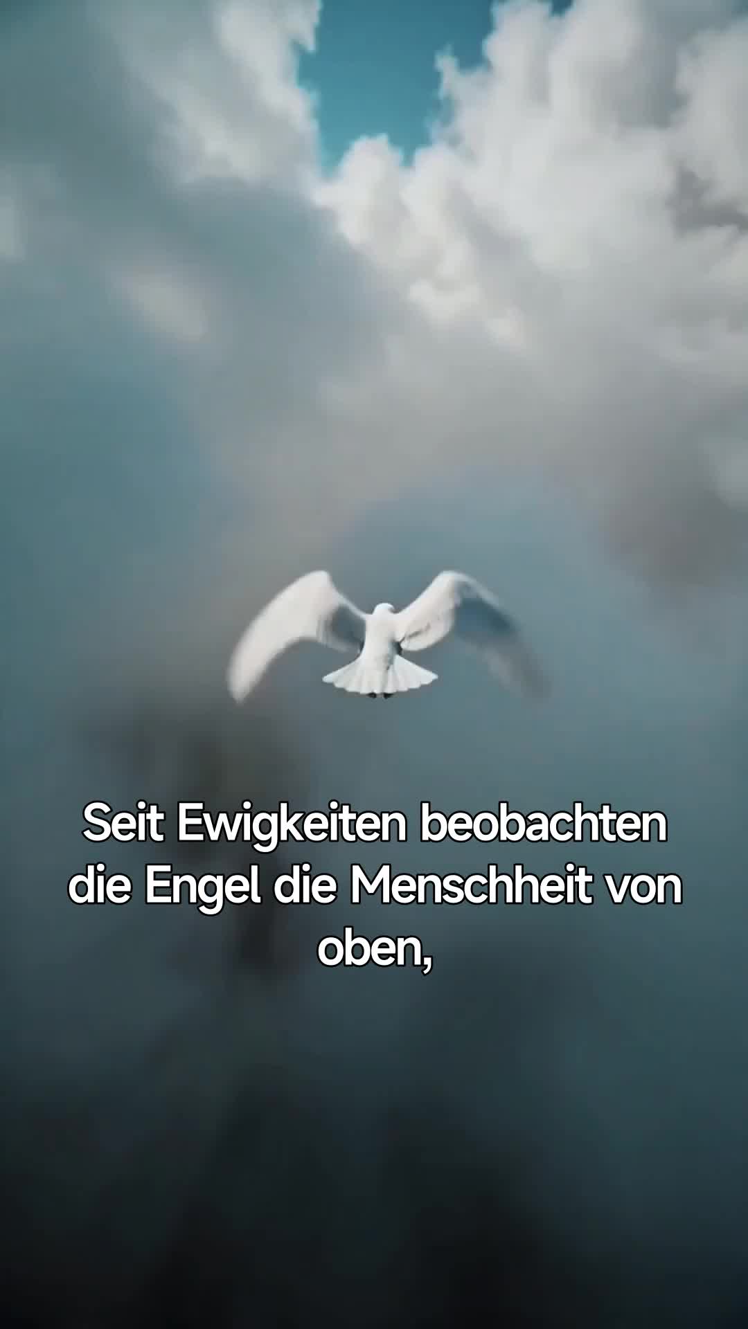 Mein Glücksengel machte mich zur Königin (Synchronisiert)  1Folgen