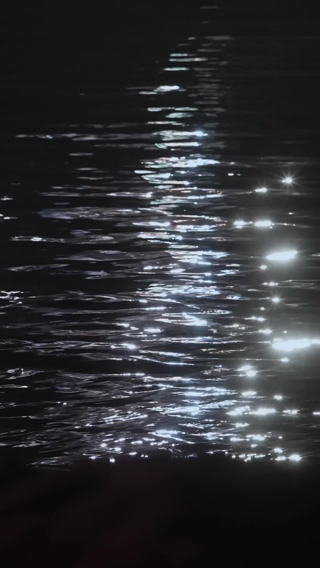 Ep 24