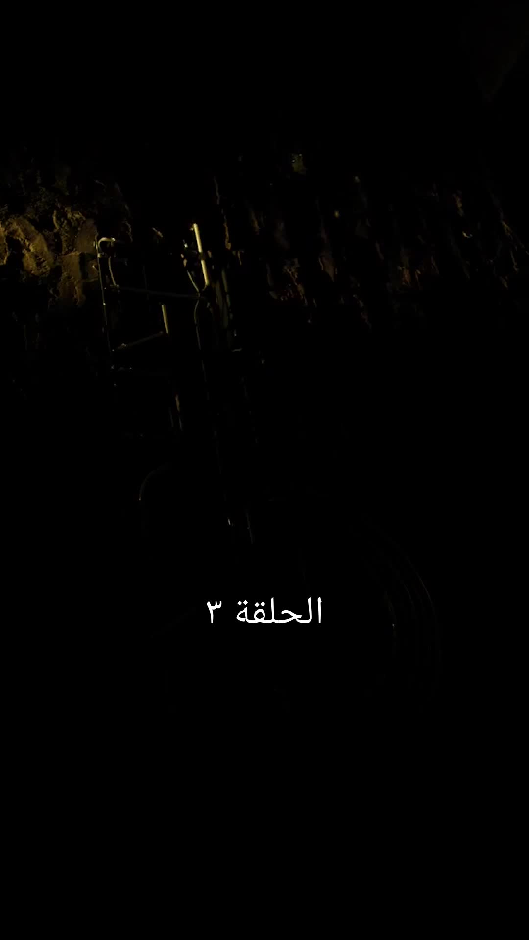 قطعة برجر مزدوجة 3مجموعة