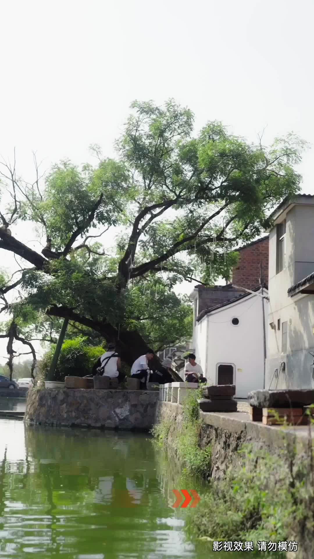 神泉仙农 第3集
