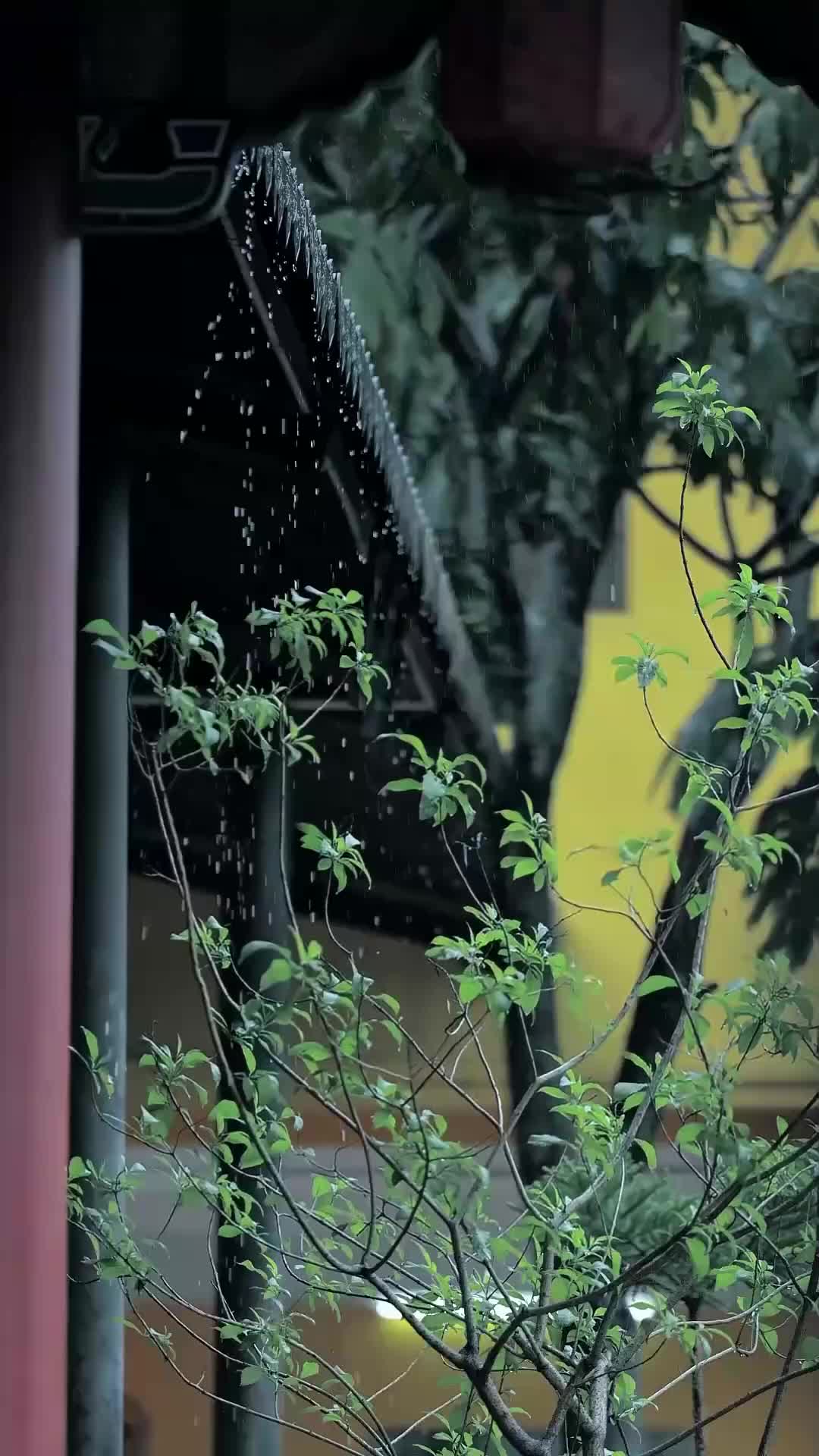 Ep 7