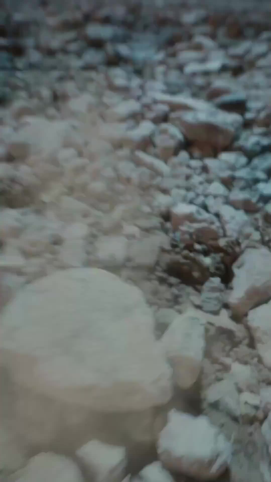 Ep 14