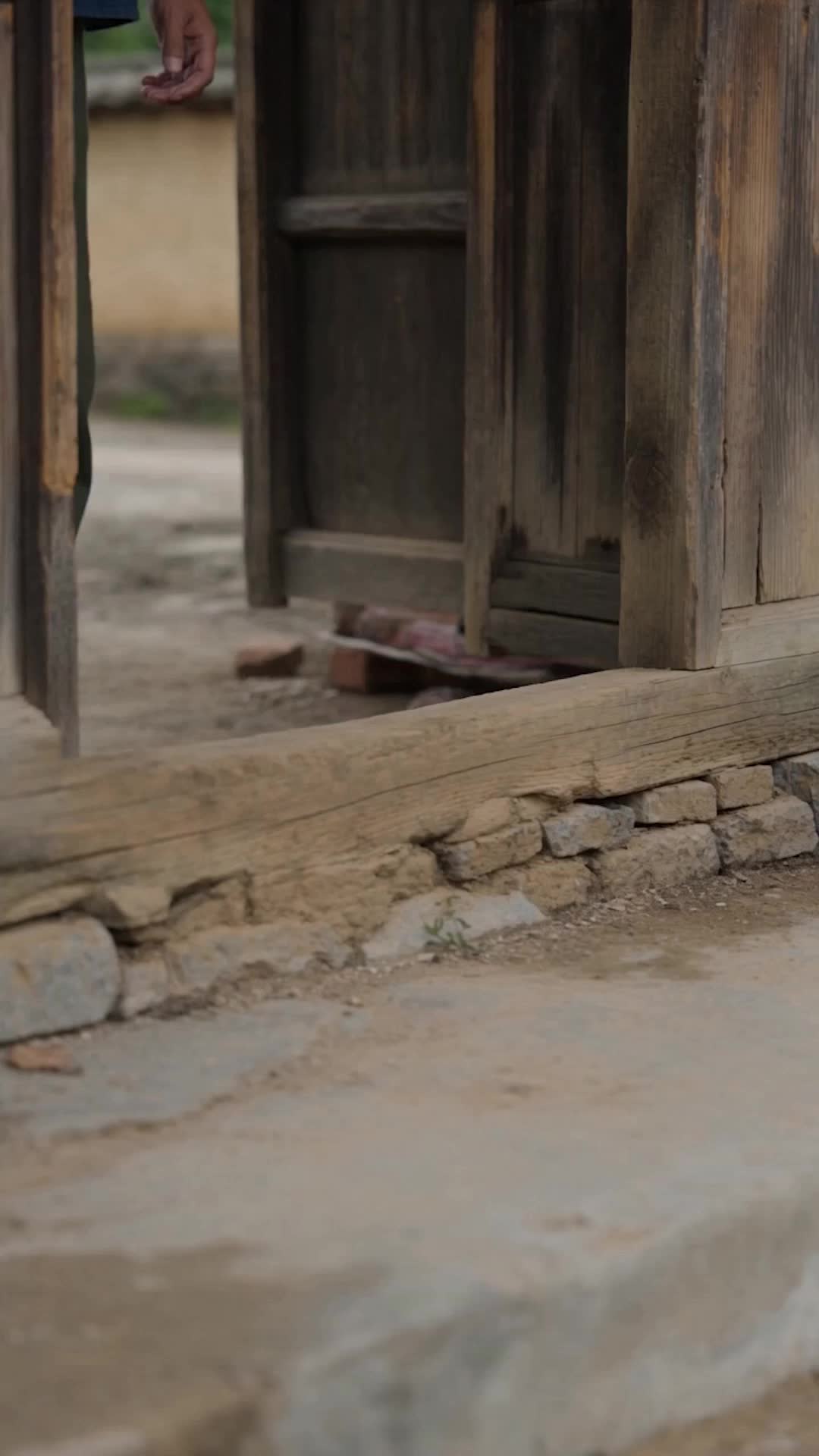 重生趕海，我讓老婆孩子住上別墅  第8集