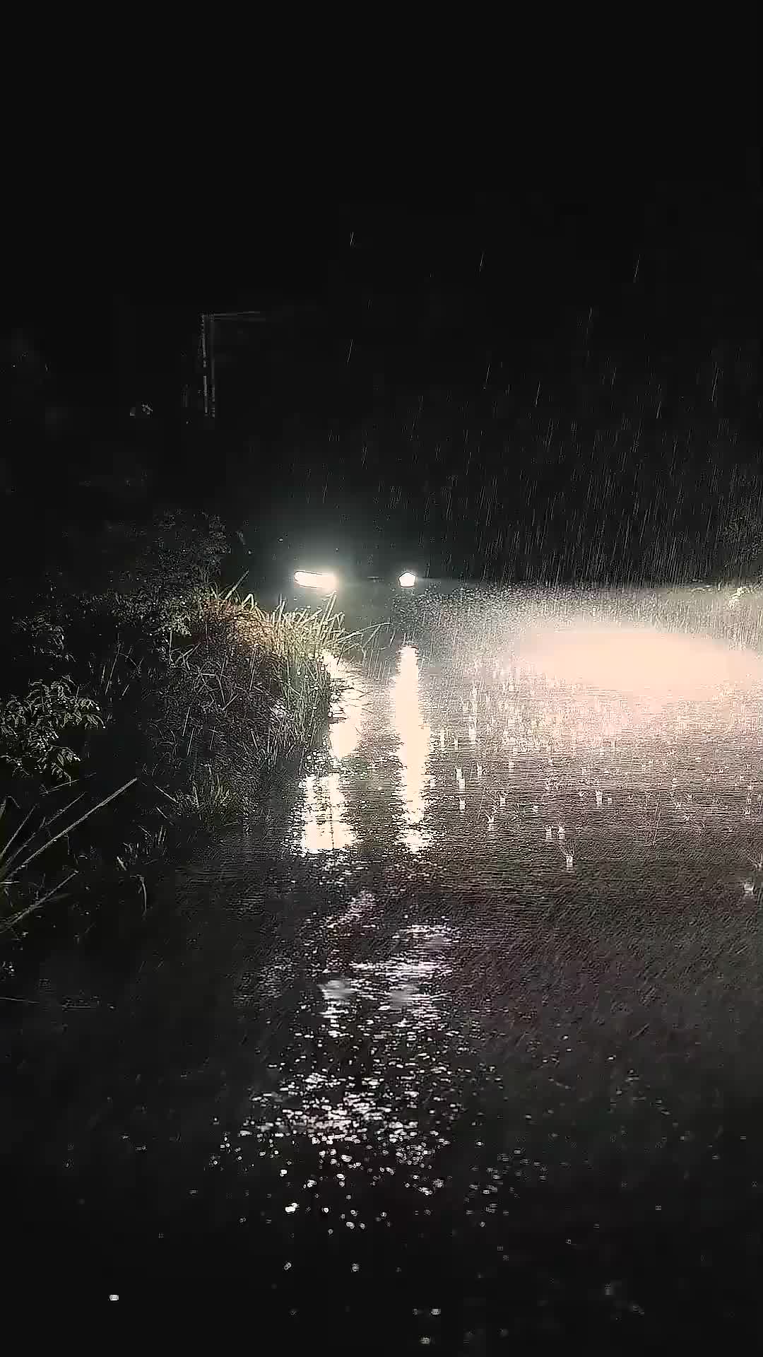 Cinta Tanpa Syarat Sang Ayah - Episode 1 - Episode 1