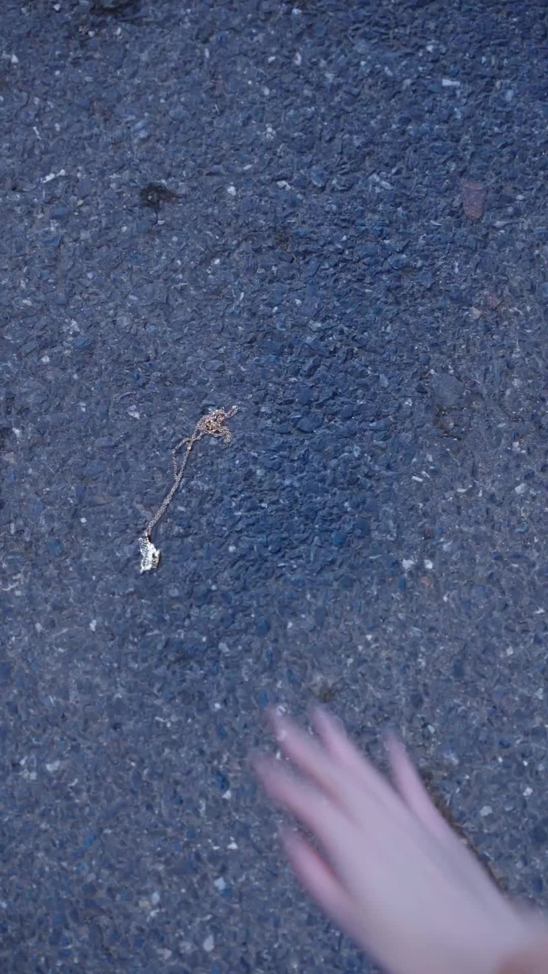 替身妹妹的白月光姐姐 第11集
