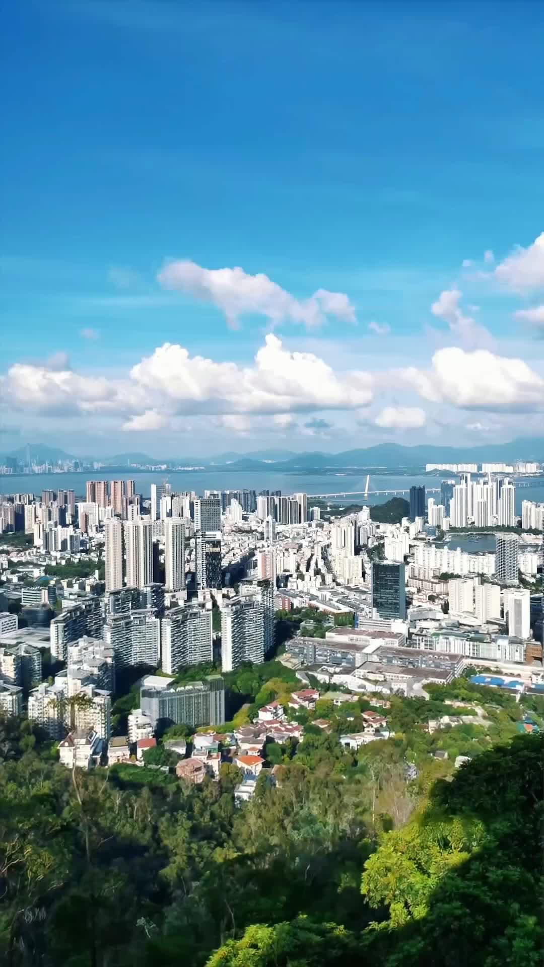 Pernikahan Palsu, Cinta Nyata - Episode 41 - Episode 41