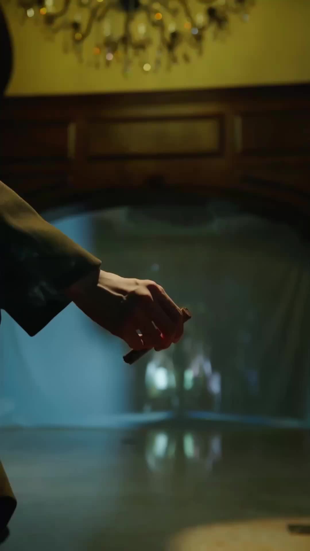 El señor Vega cayó en mi trampa (Doblado) poster