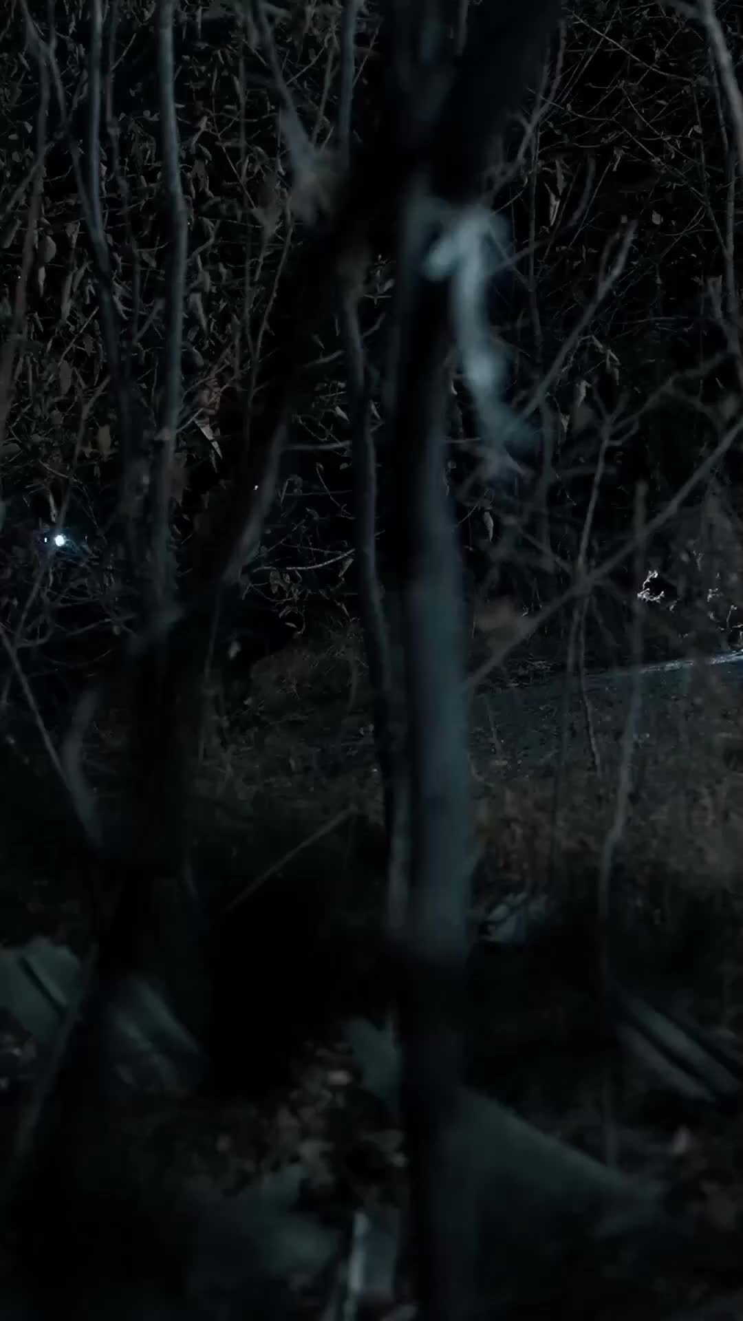 Ep 22