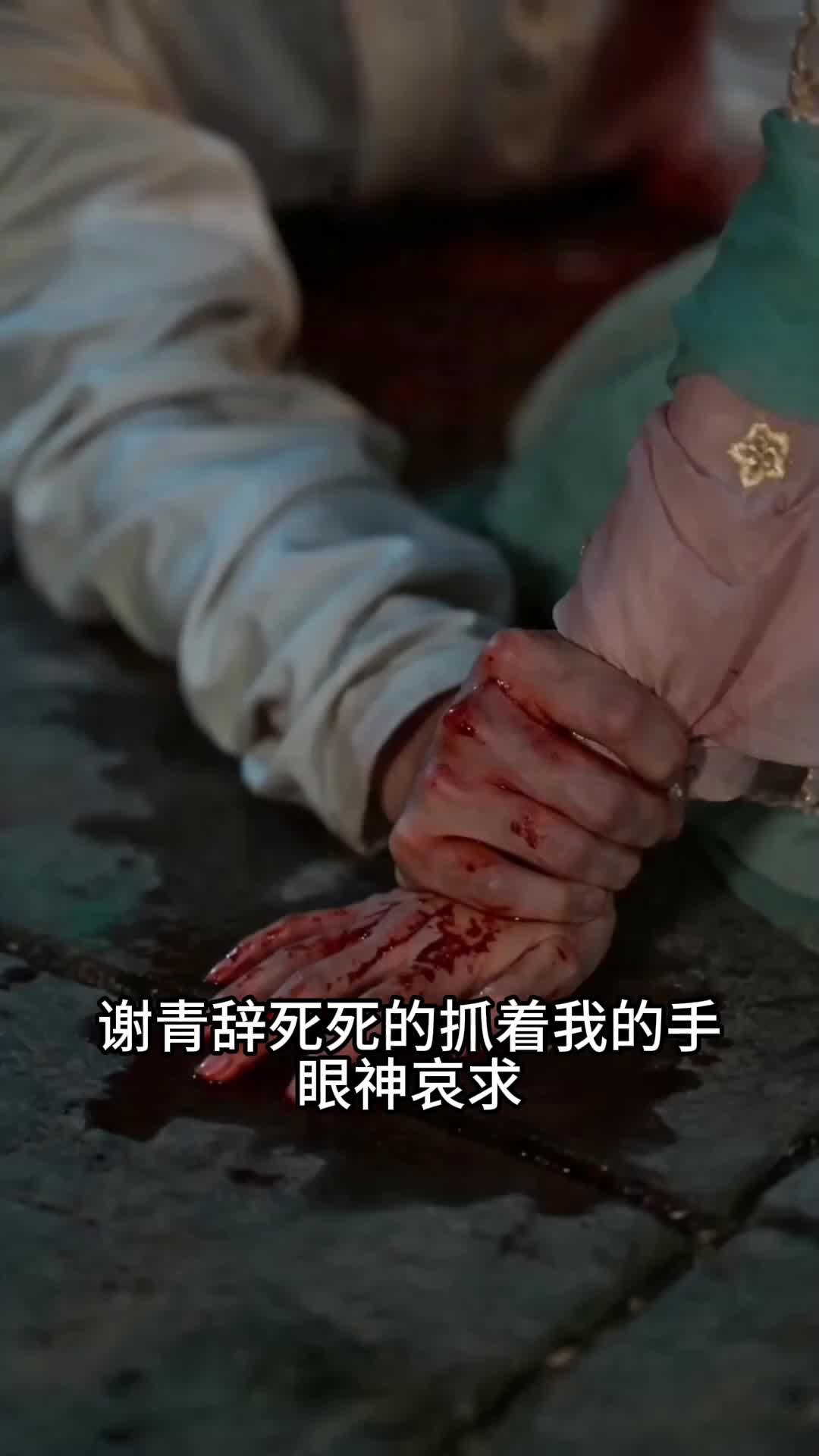 魔丸郡主的软饭夫君 第9集