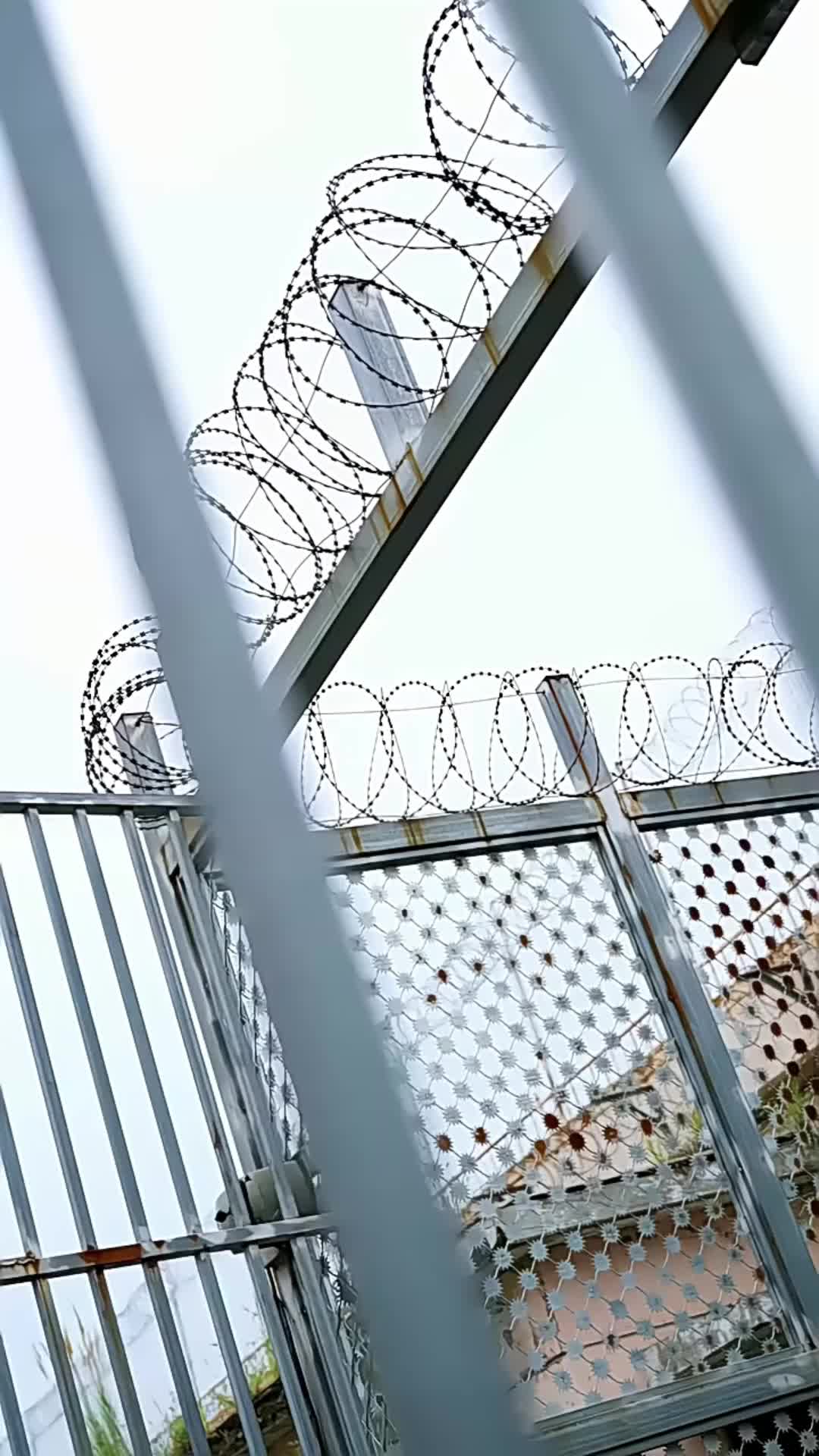 Ep 1
