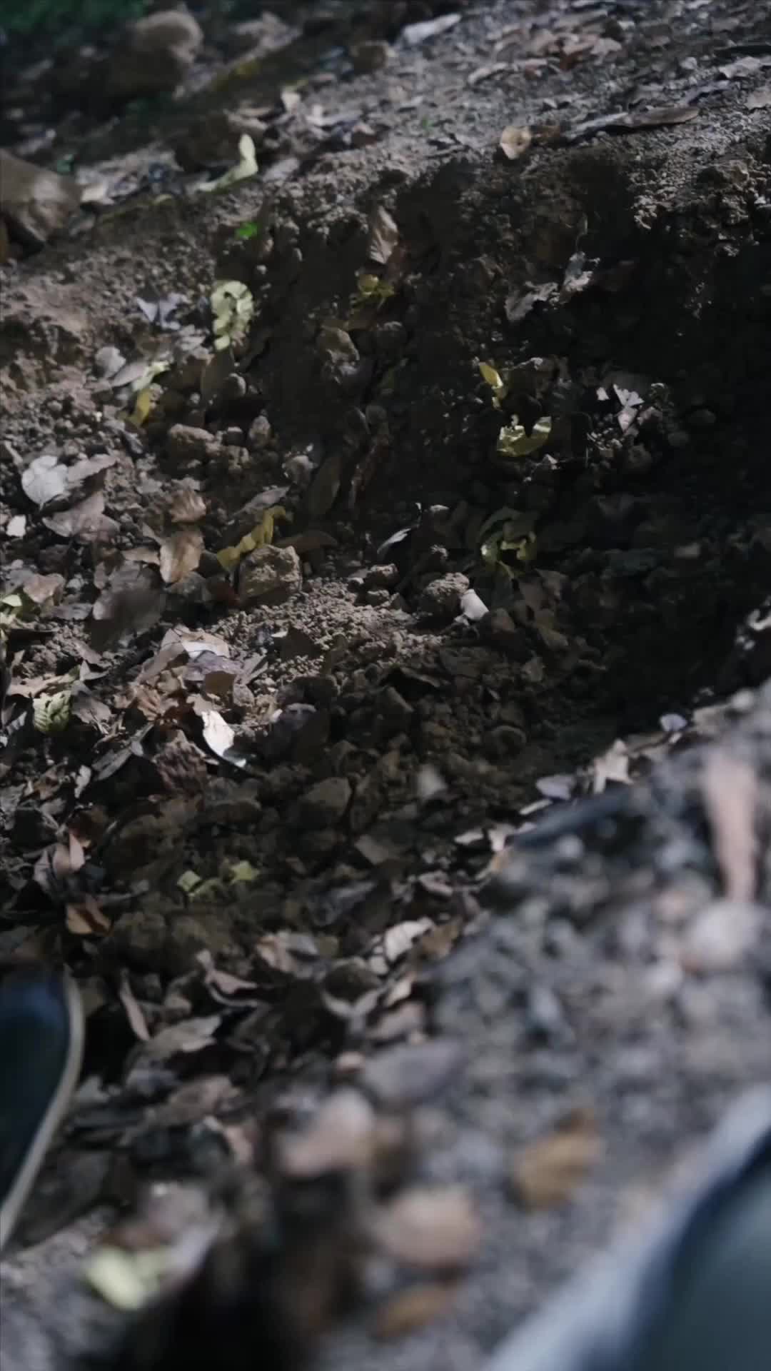 The Princess Who Rose from Ashes Episode 1