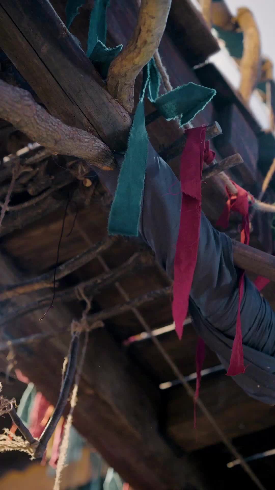 Ep 7
