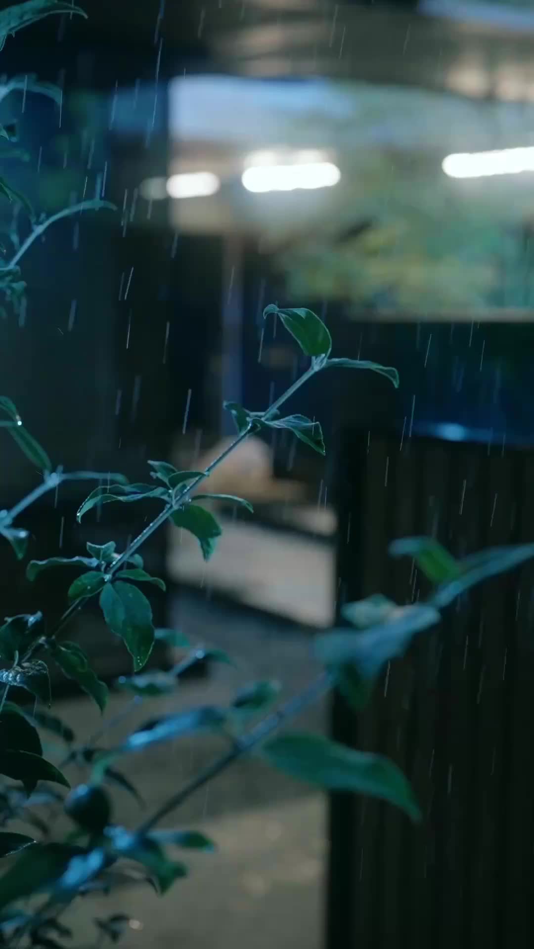 婚深，意更濃 第1集