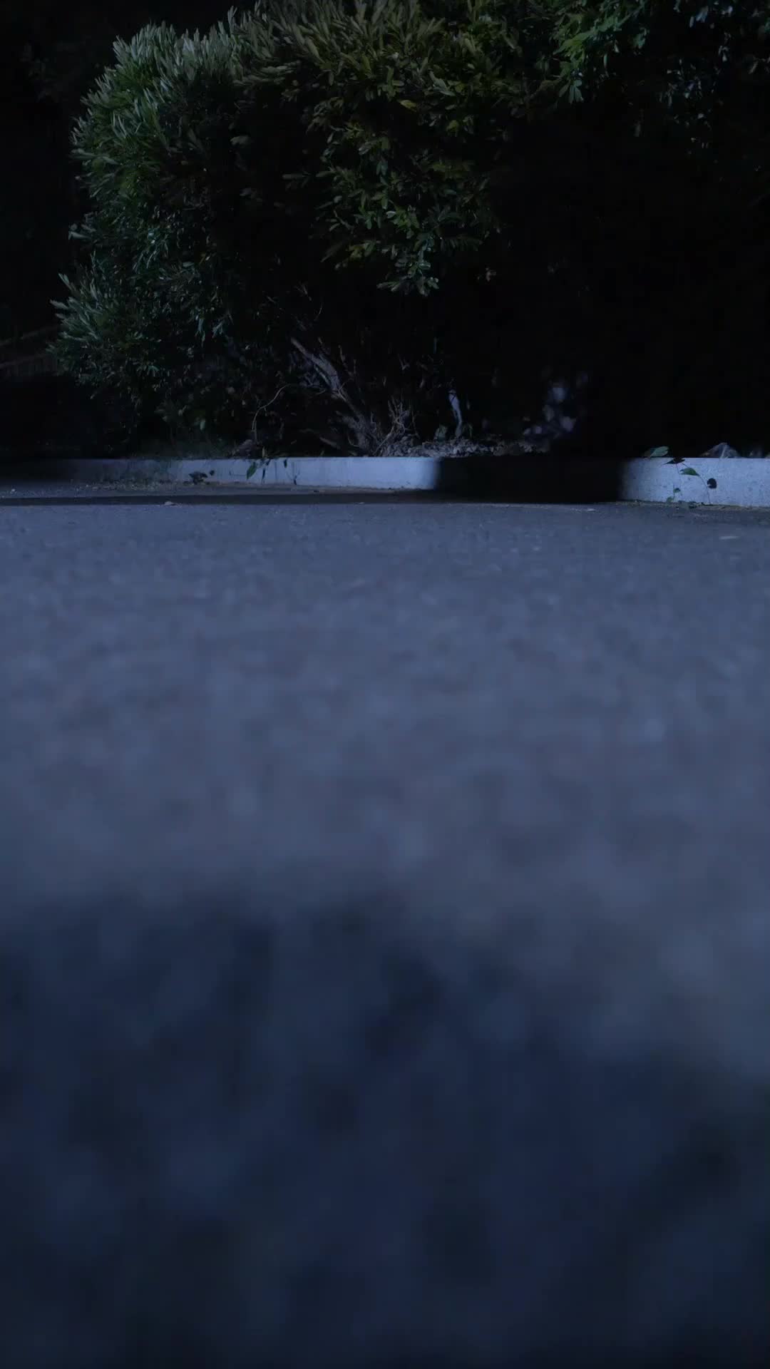 Ep 10