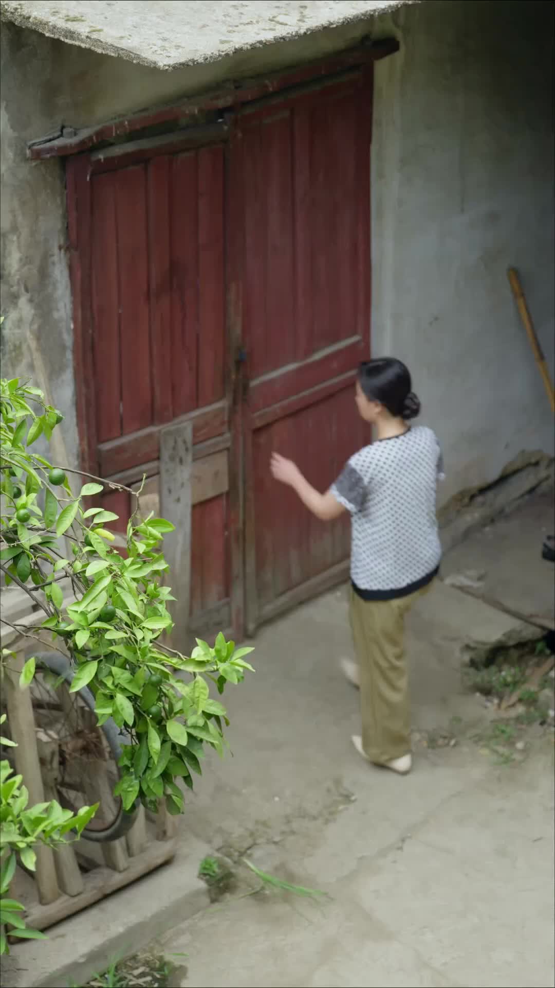 Ep 49