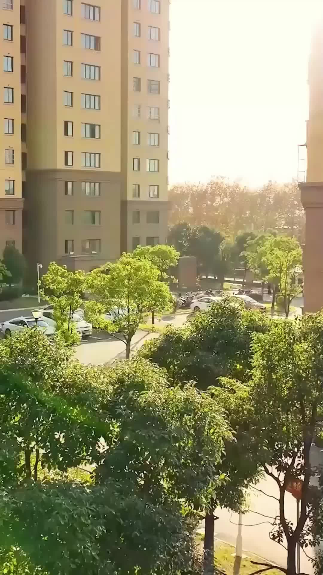 Ep 5