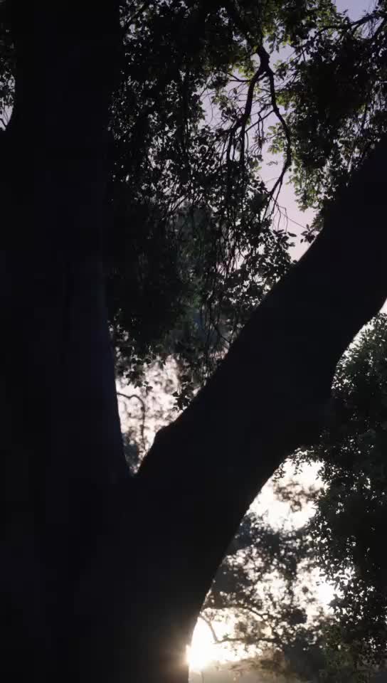 Ep 4