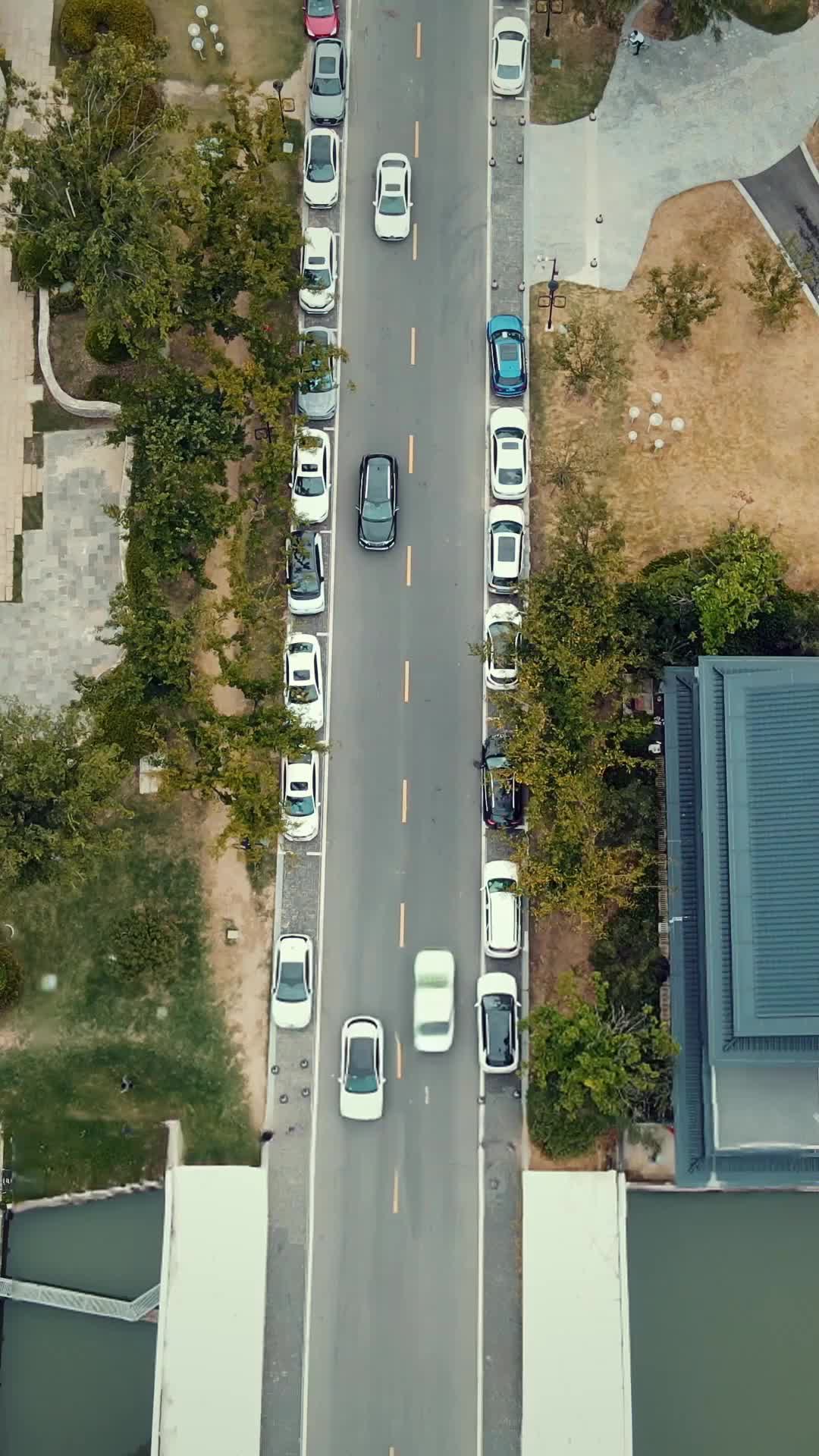 Ep 17
