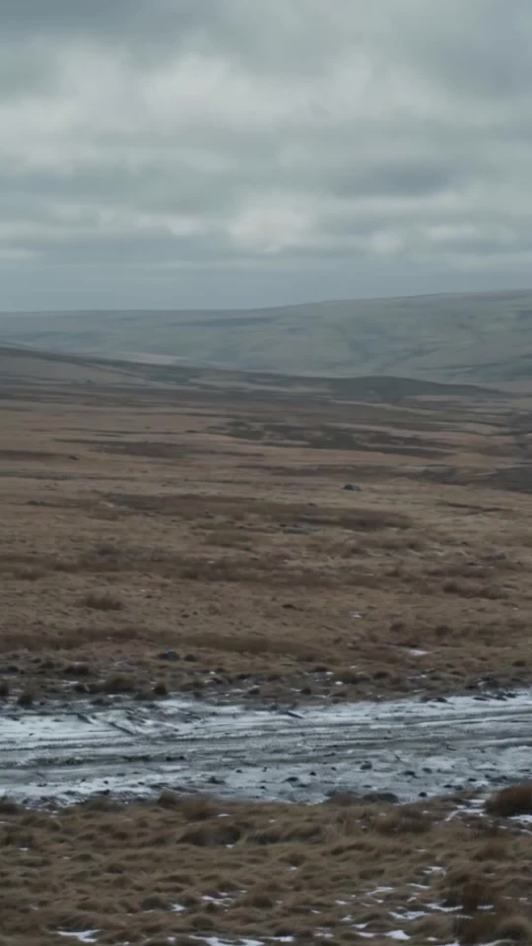 Rejected as Barren,Claimed by the Lycan King Episode 11
