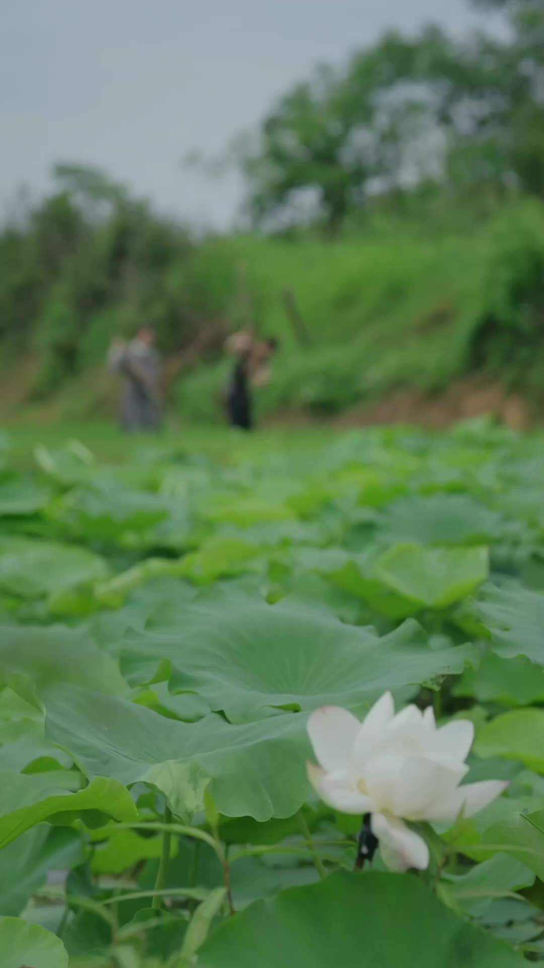 Ep 10