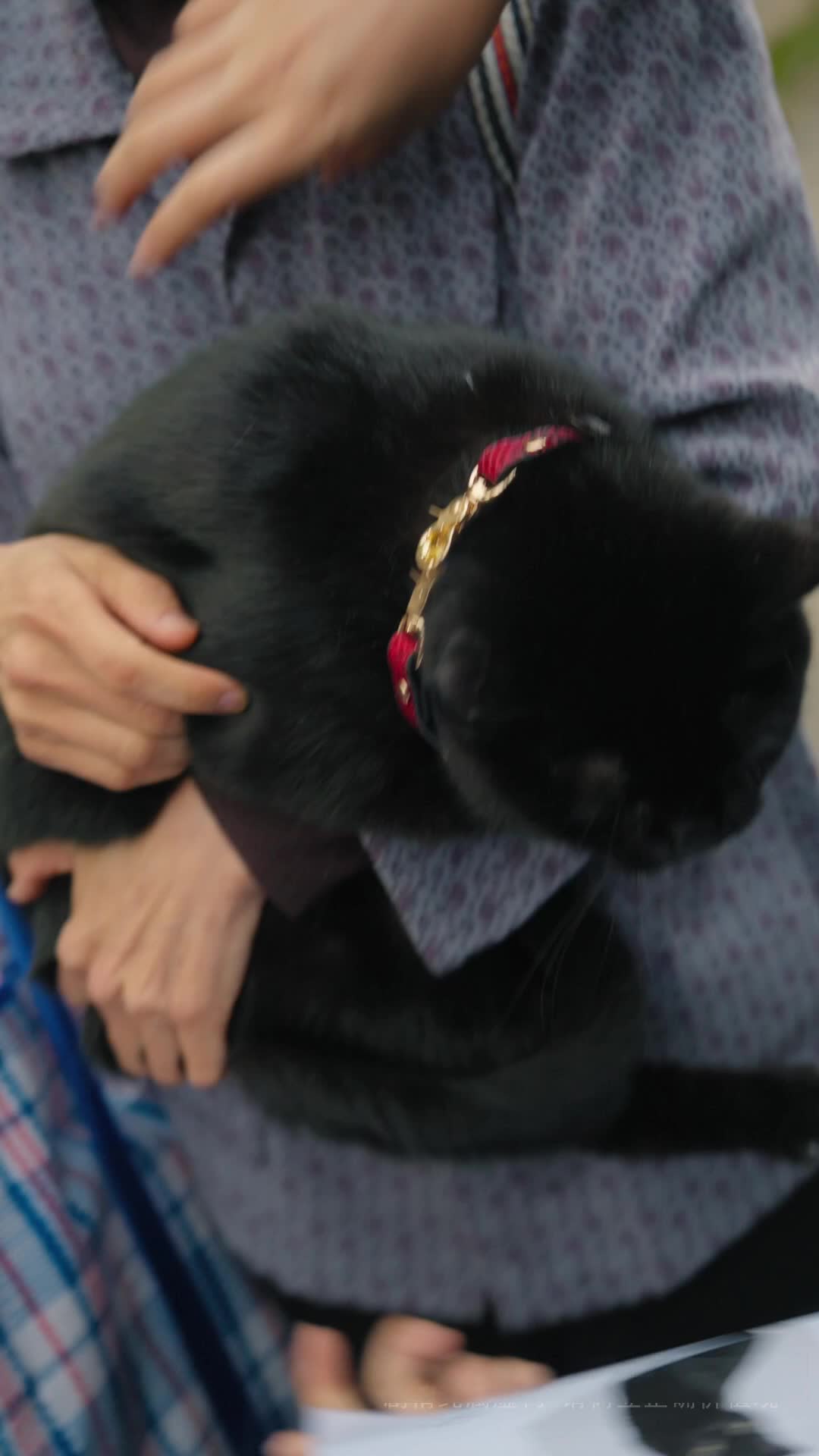 Hellcat Unleashed: The Hunt Is On Episode 2