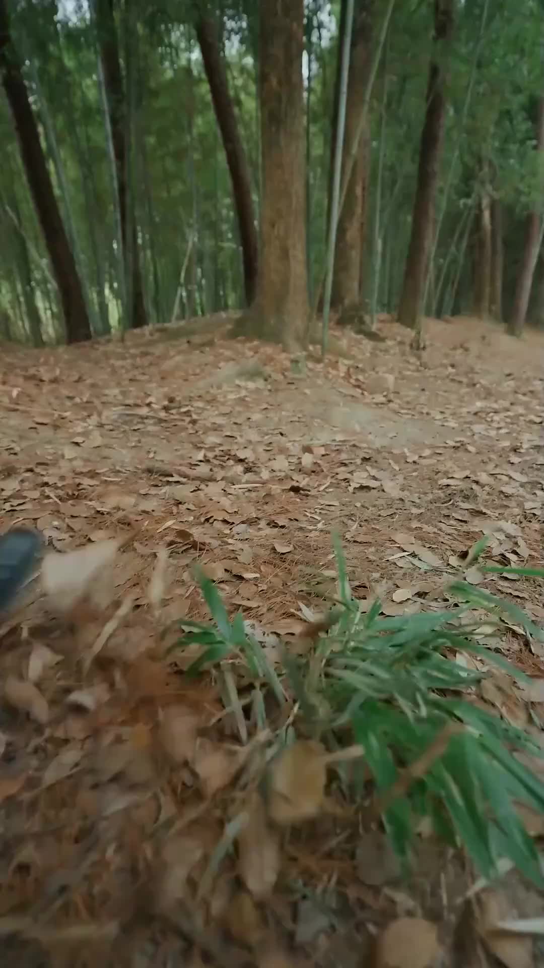 Hopping Through Time: His Unexpected Journey Episode 2
