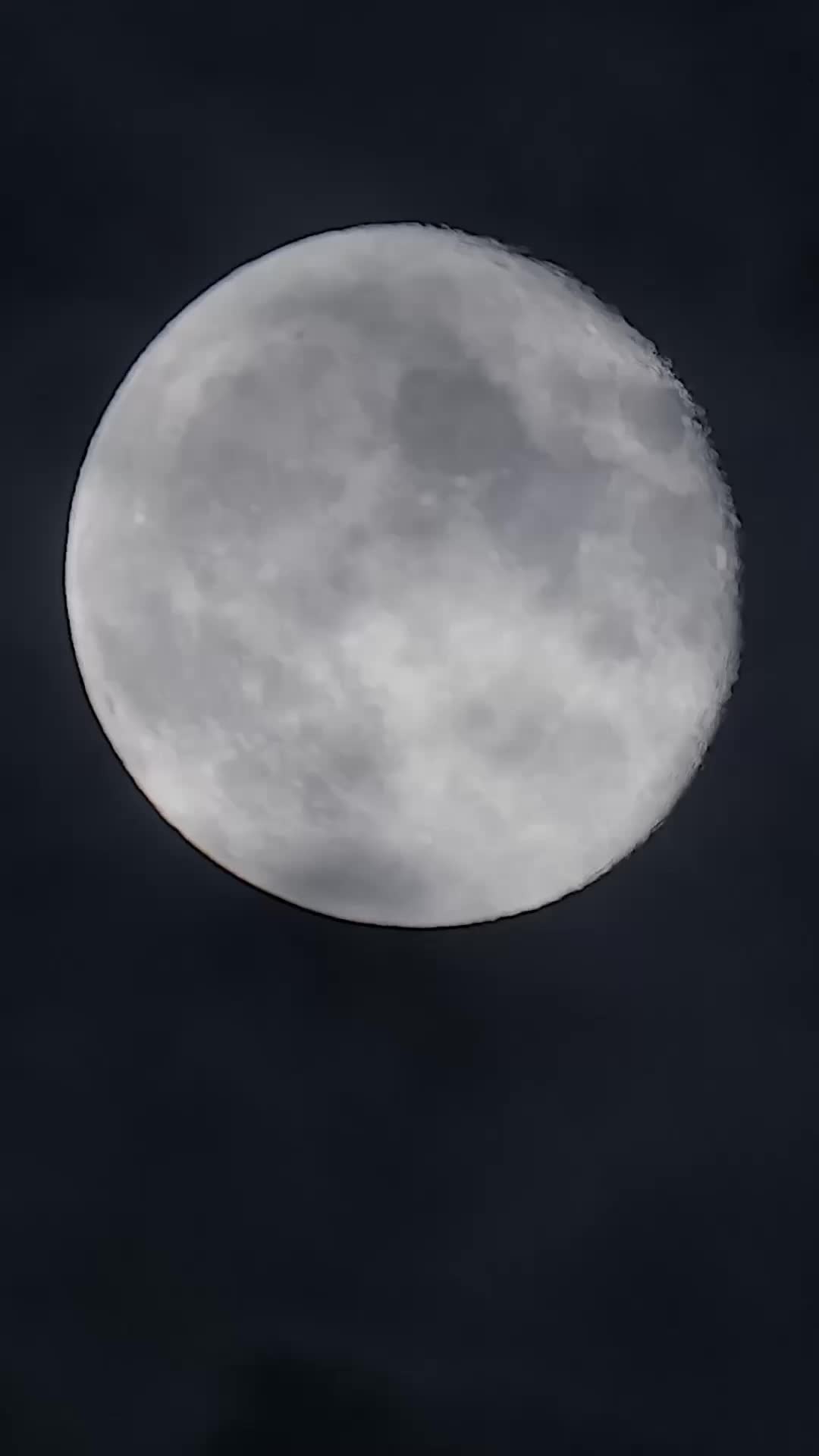 Jodohku Manusia Serigala - Episode 1 - Episode 1