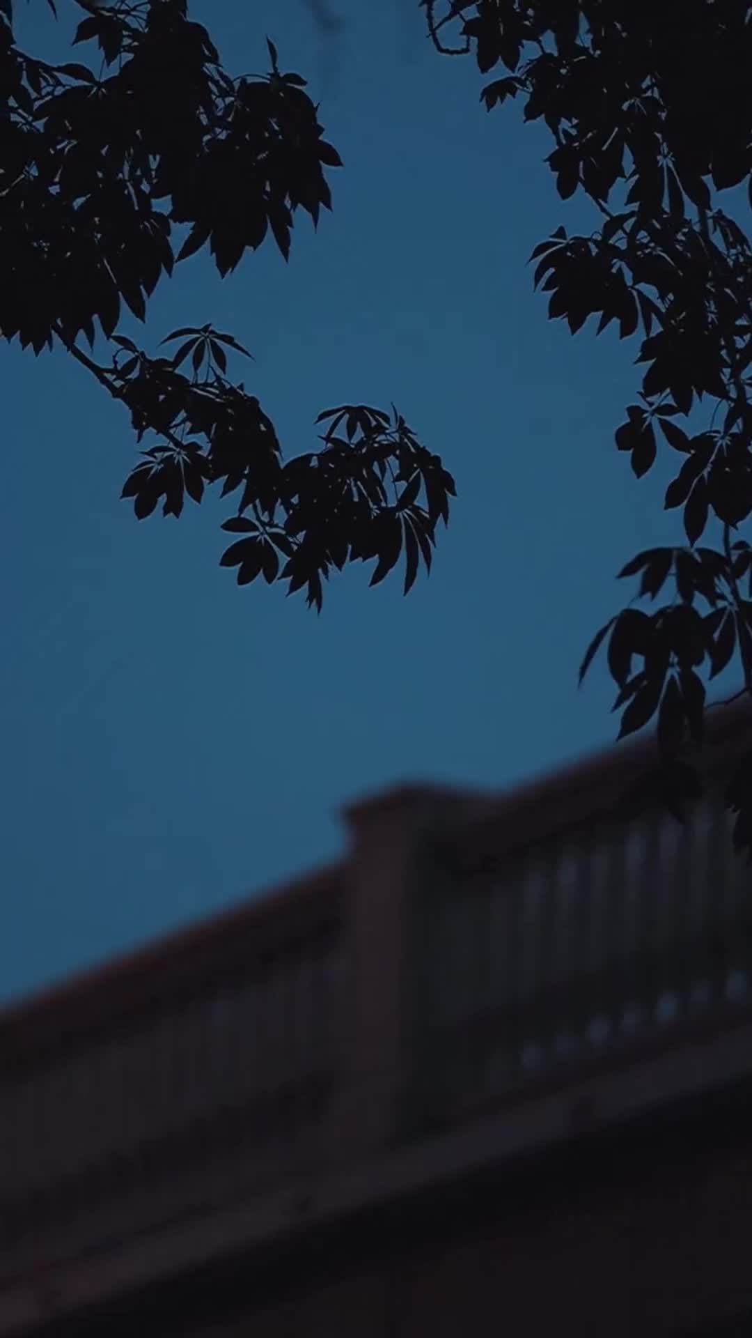 Drama in HD Episode 5
