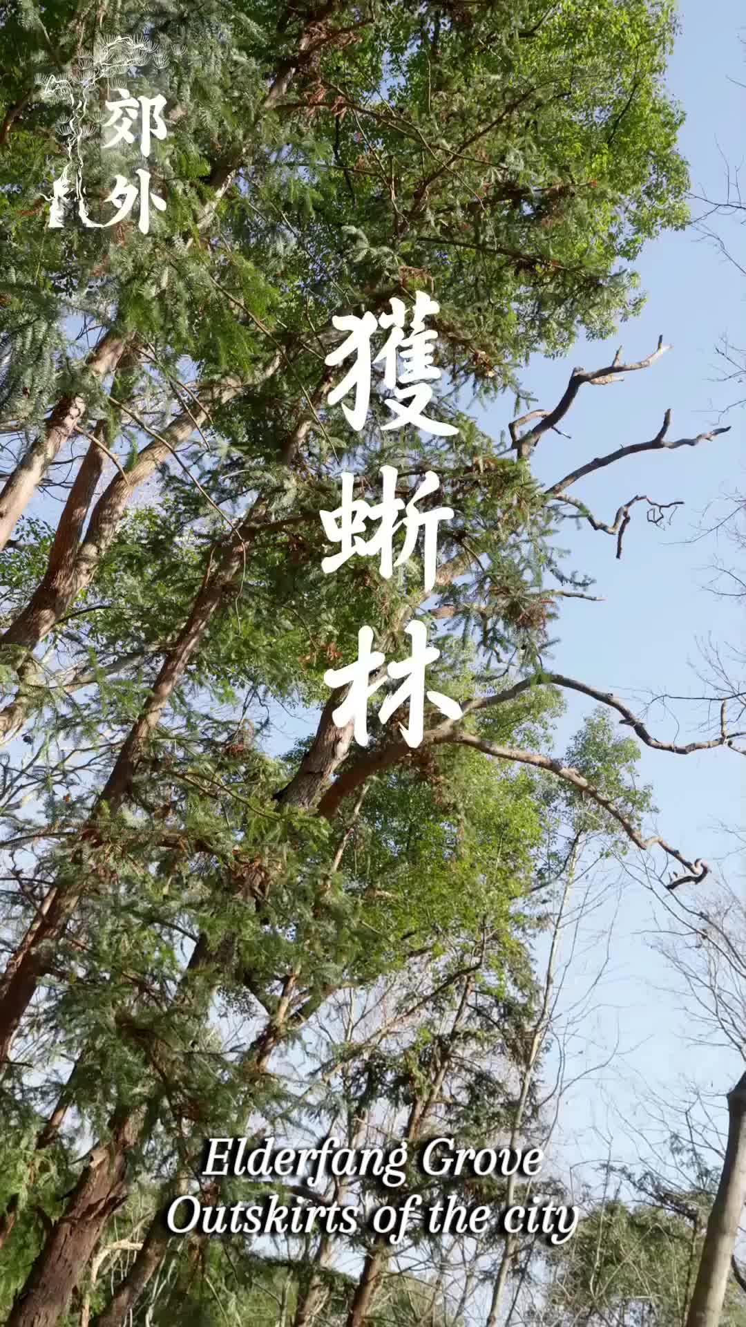 Ep 6