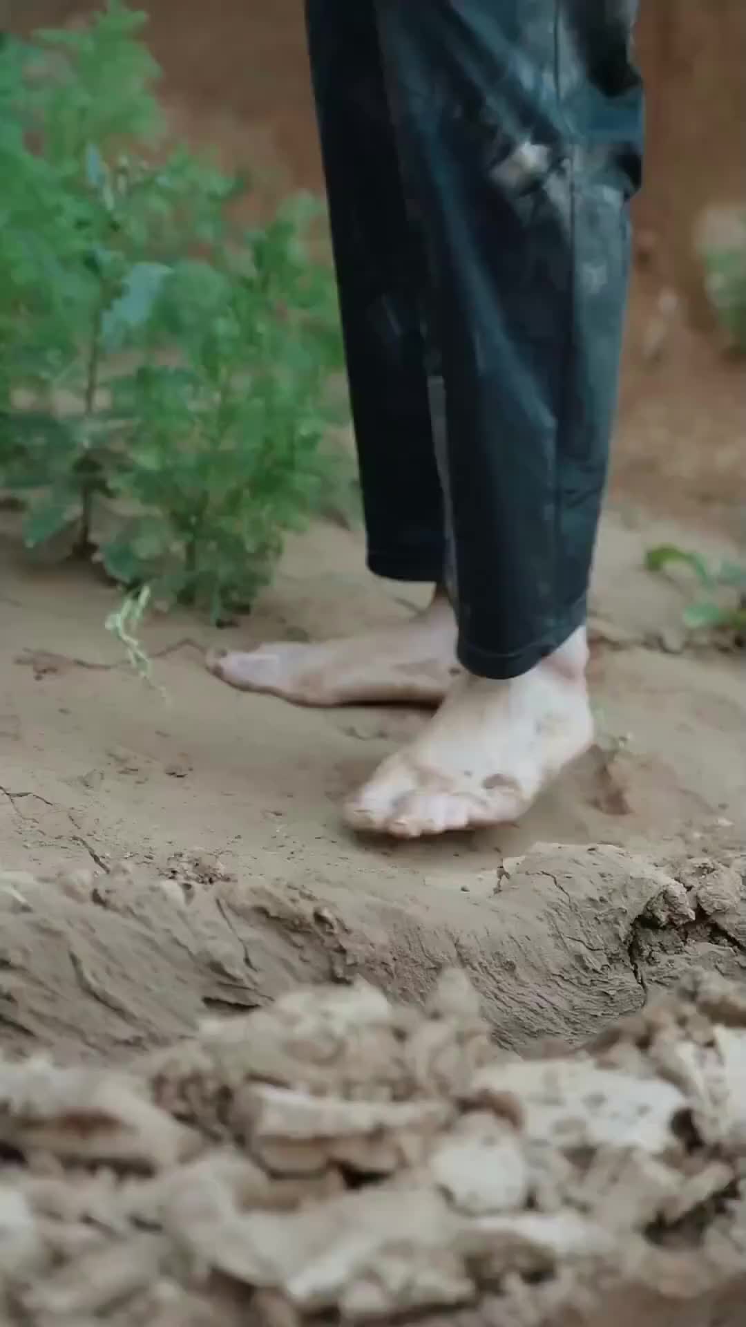수호신 제2회
