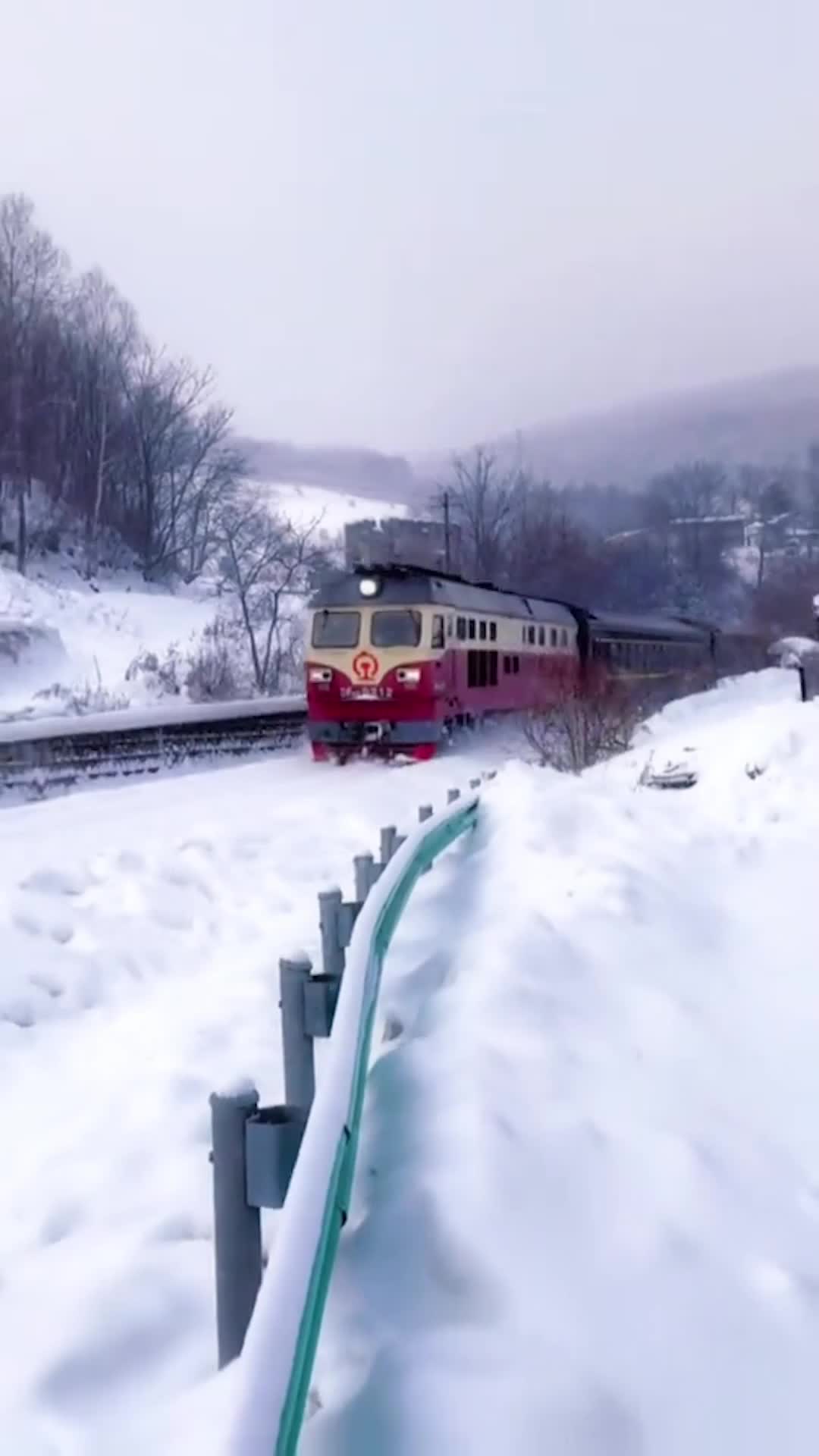 The Ride That Reunites Episode 1