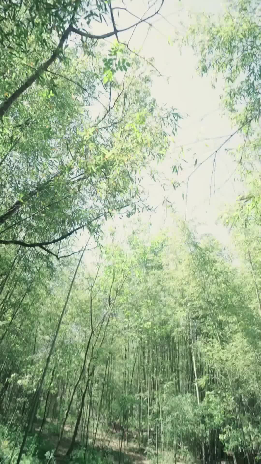Rahasia Suara Sang Anak Ajaib Episode 6