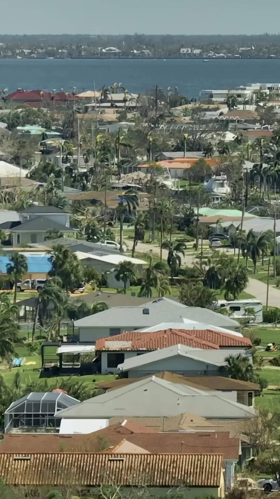 Episode 31
