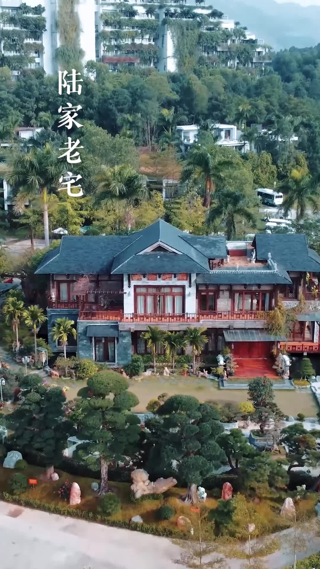 此情无绝期 第4集