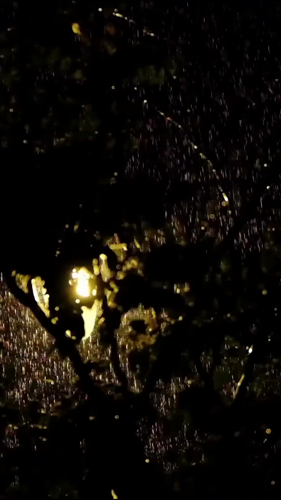 Tersalah Cinta - Episode 1 - Episode 1