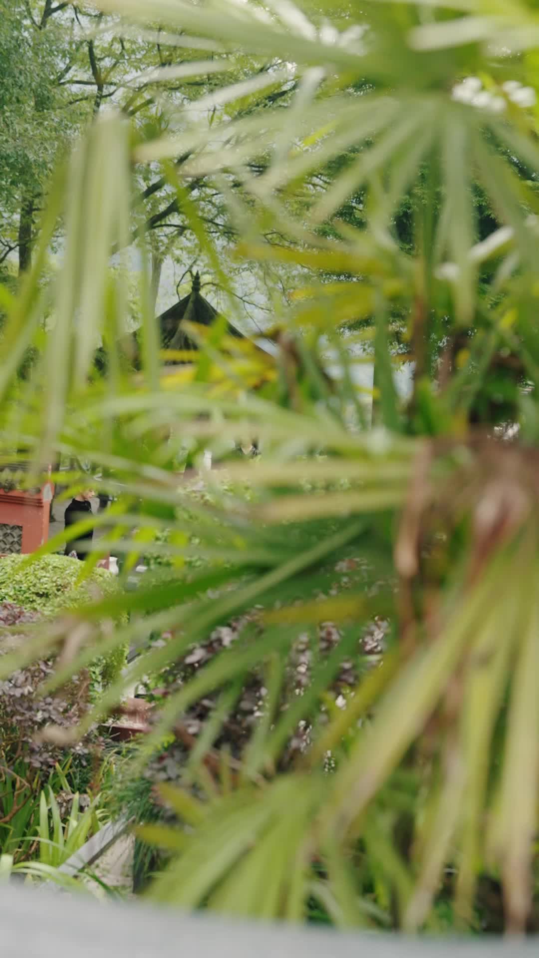 Ep 14