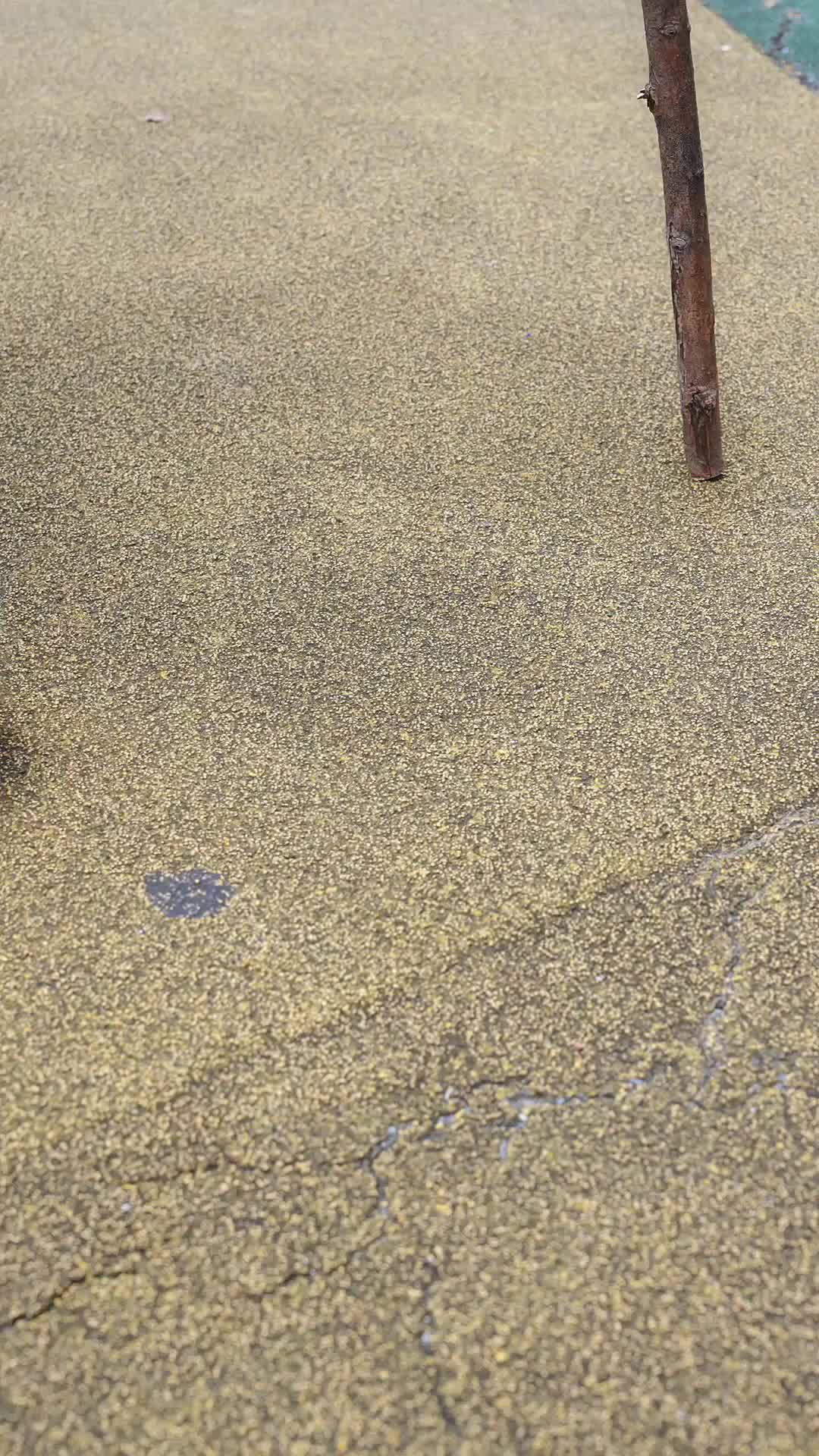 She Loved Me When I Was a Beggar Episode 1