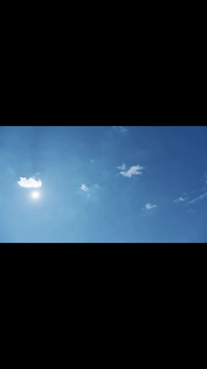 穿越御獸，SSS級龍王全是我老家人 第2集